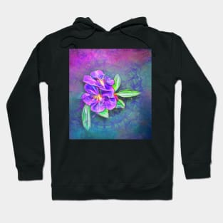 abstract lasiandra on textured kaleidoscope Hoodie